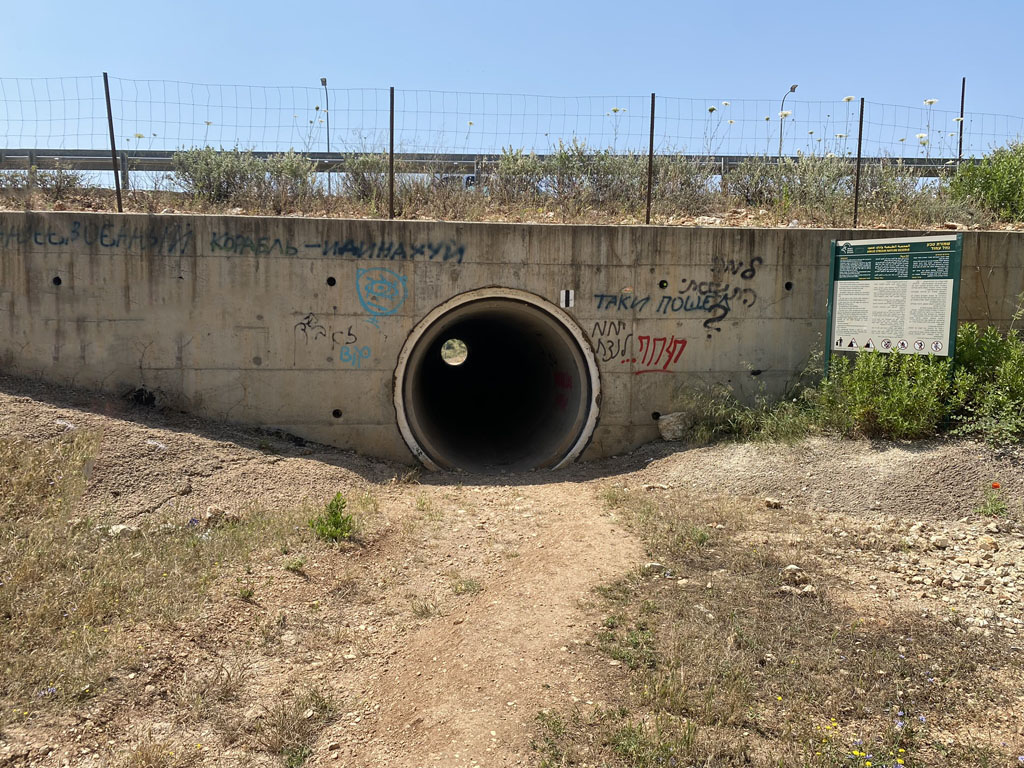 צינור המעבר מתחת לכביש
