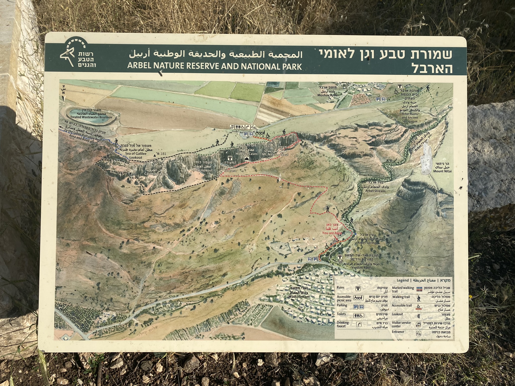 תמונה מהטיול