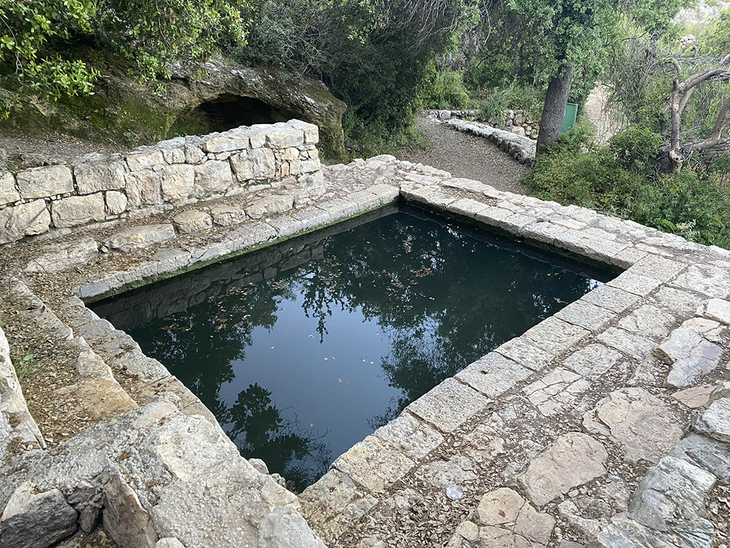 תמונה מהטיול