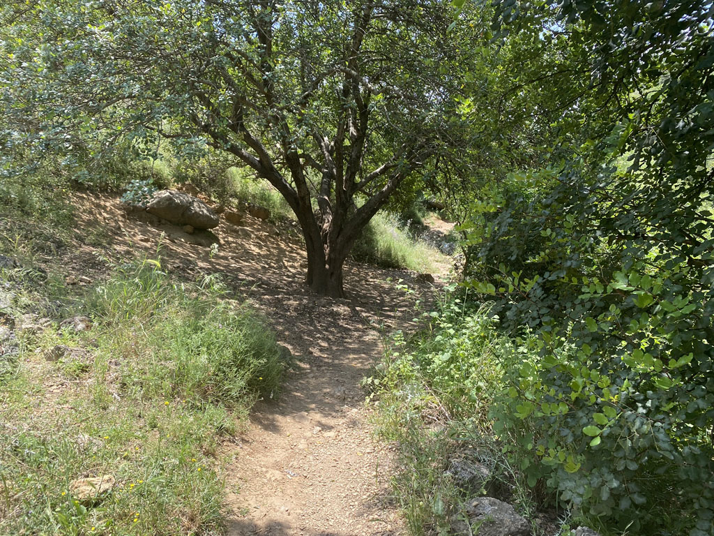 תמונה מהטיול