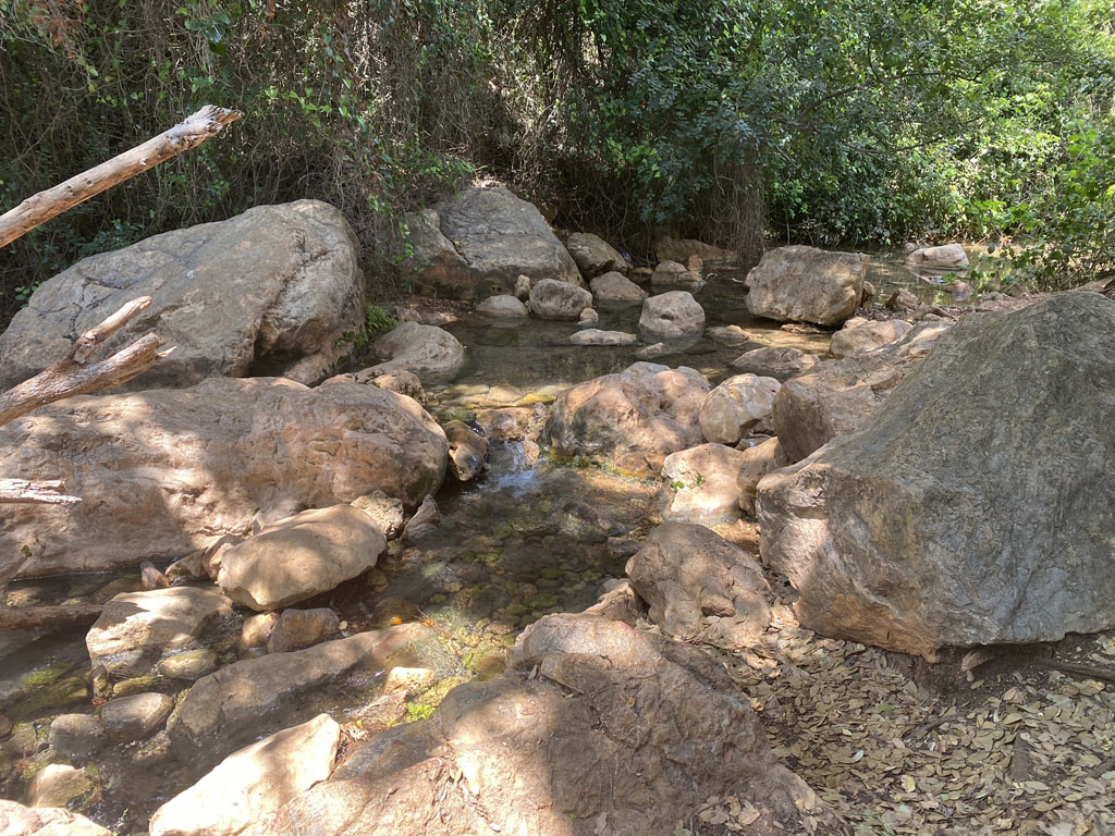 תמונה מהטיול