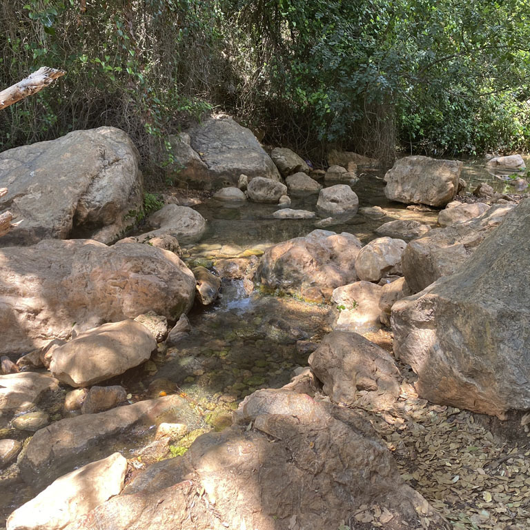 נחל צלמון